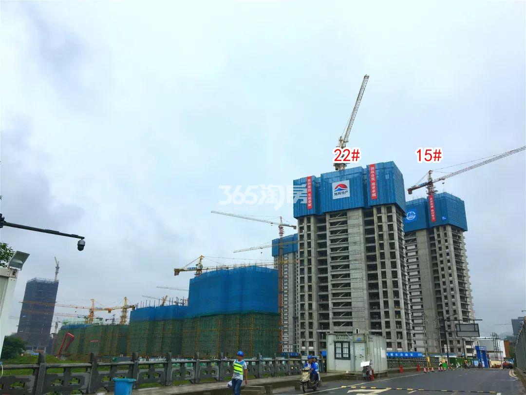 蔚宸悦城工程进展（2019.06）