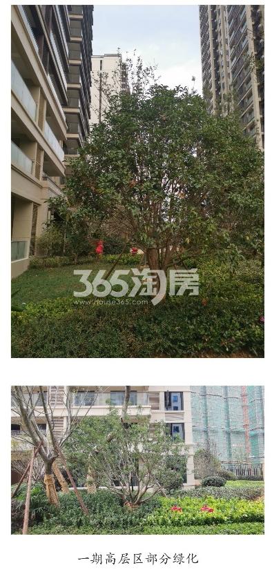 吴越府实景图（2019.11）