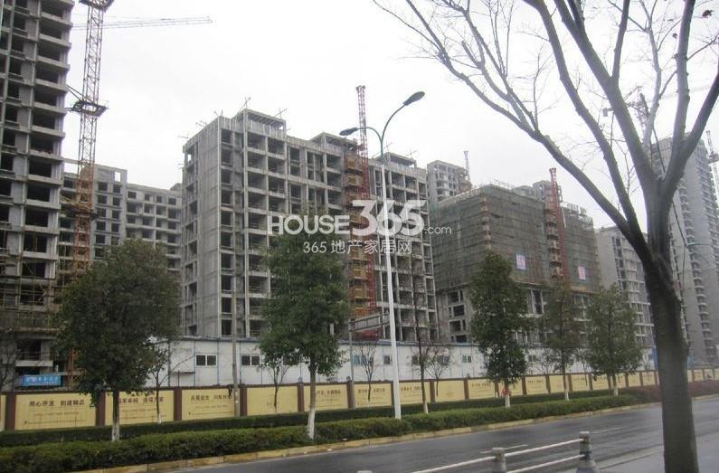 2013年1月初铂金名筑项目现场施工图