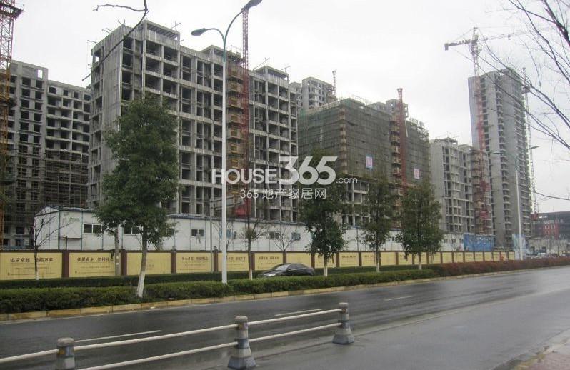 2013年1月初铂金名筑项目现场施工图