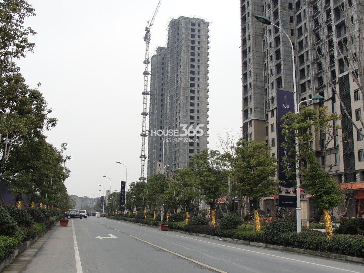 金地天逸项目现场实景图 2013年2月下旬