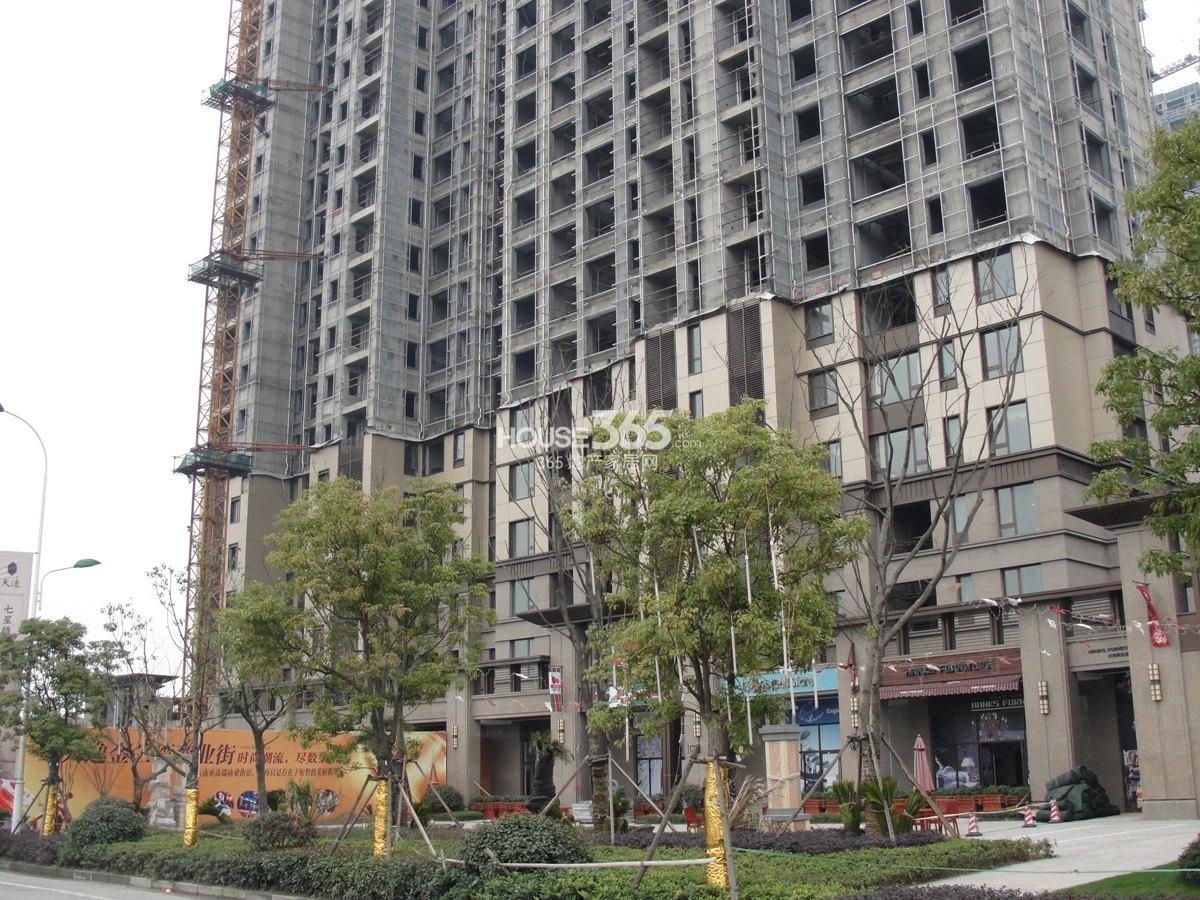 金地天逸项目现场实景图 2013年2月下旬 