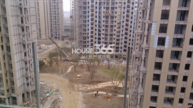 滨江金色黎明项目实景图