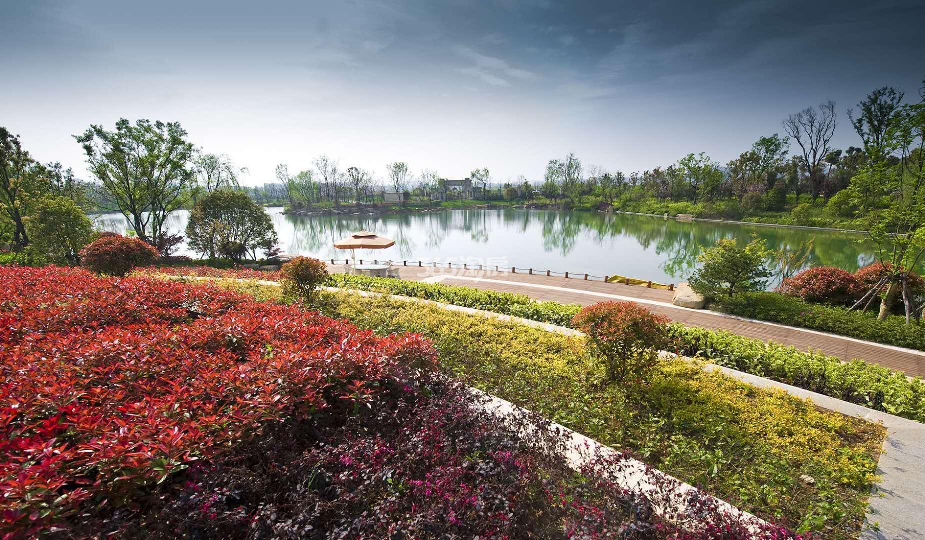 幸福紫蓬小筑院内绿植实景图（2019.7.9）