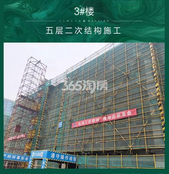 新希望滨江锦粼府3#施工实景图（2019年4月摄）