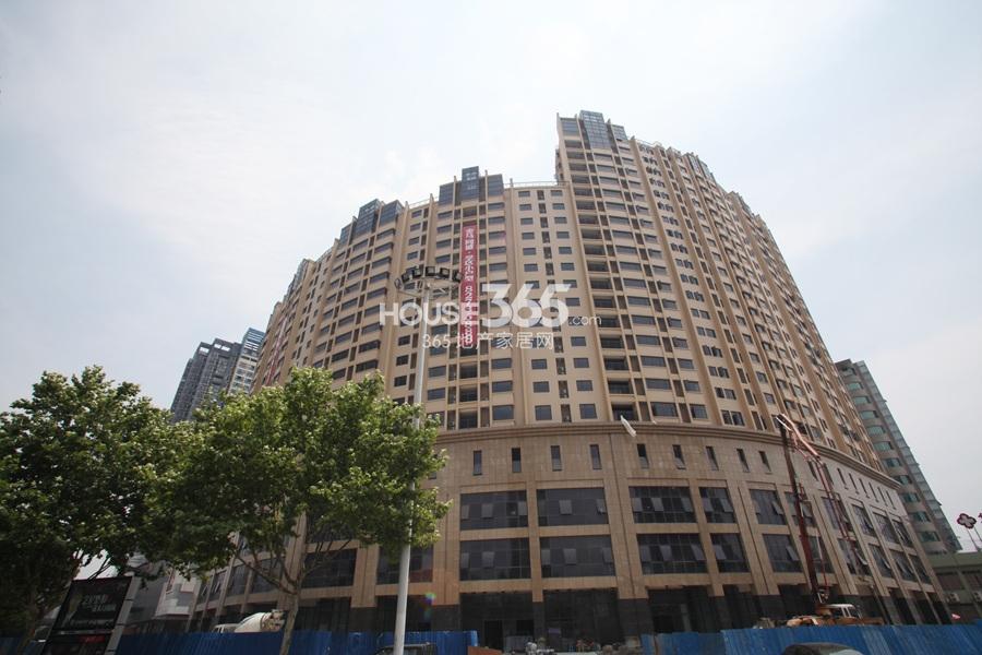 金马同盛实景图