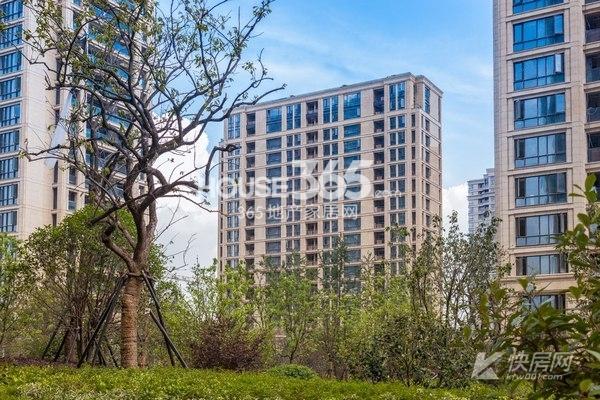 2013.6.22绿城明月江南园区实景图