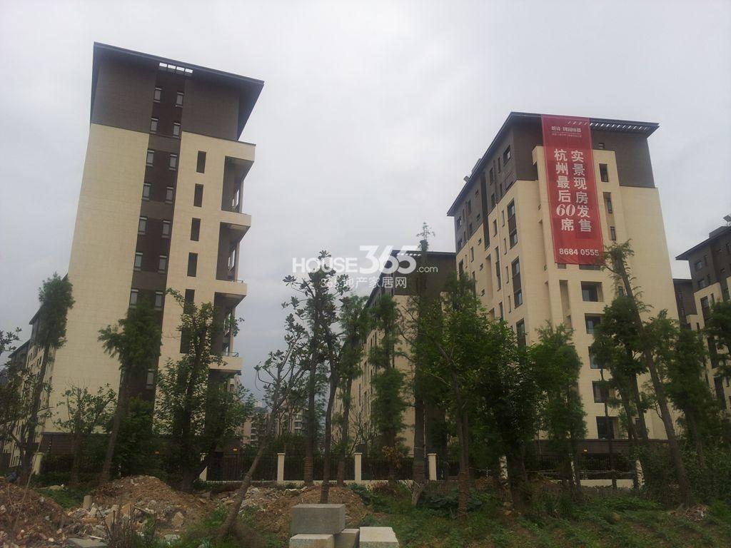 朗诗田园绿郡6.23实景图