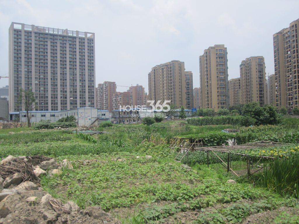 中顺上尚庭6.23实景图