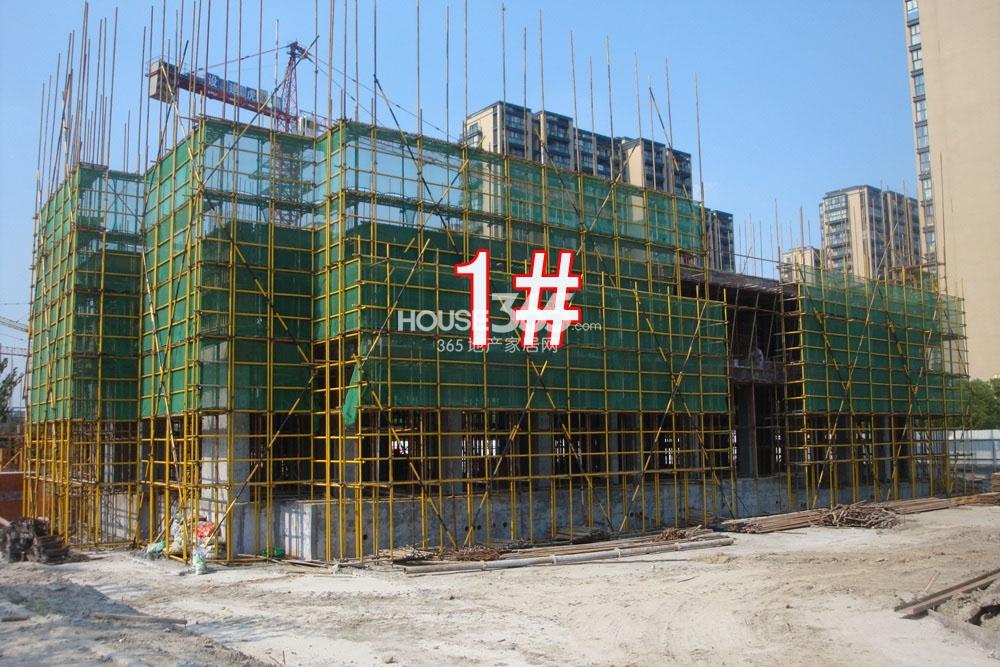 2013.7.10湖漫雅筑实景图--1号楼特写