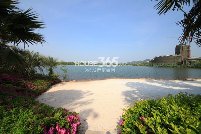 东海闲湖城实景