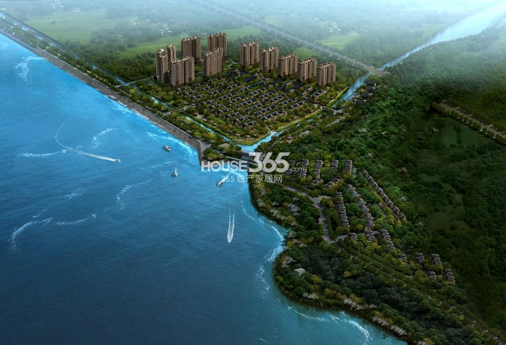 潮闻天下鸟瞰图
