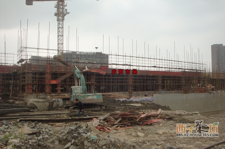 2013年10月下旬湖漫雅筑项目实景图--农贸市场