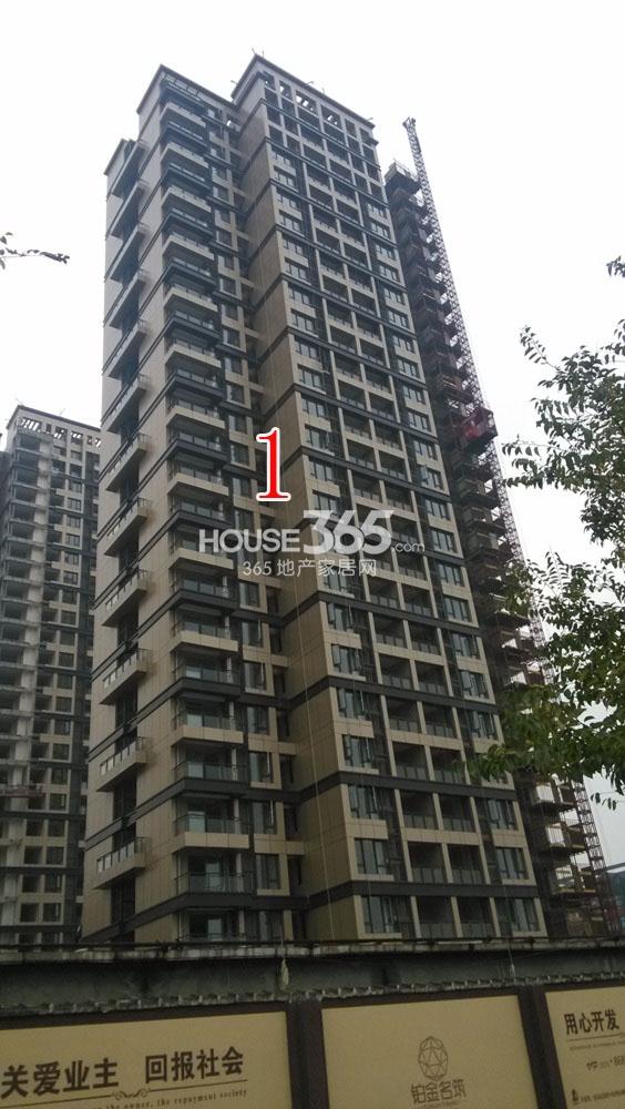 2013.11.13铂金名筑实景图--1号楼特写