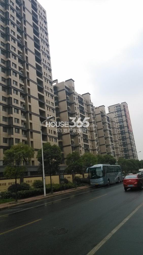 2013.11.13铂金名筑实景图--6、7、8、9号楼合影特写
