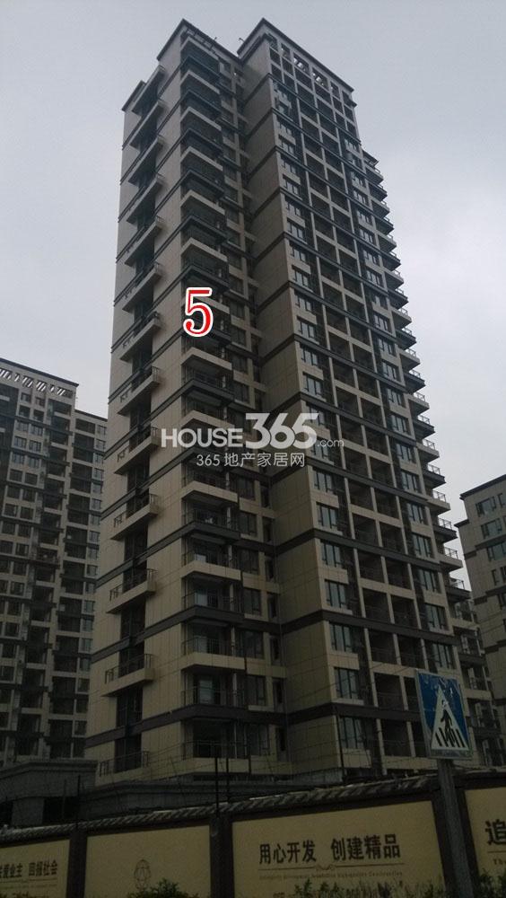 2013.11.13铂金名筑实景图--5号楼特写