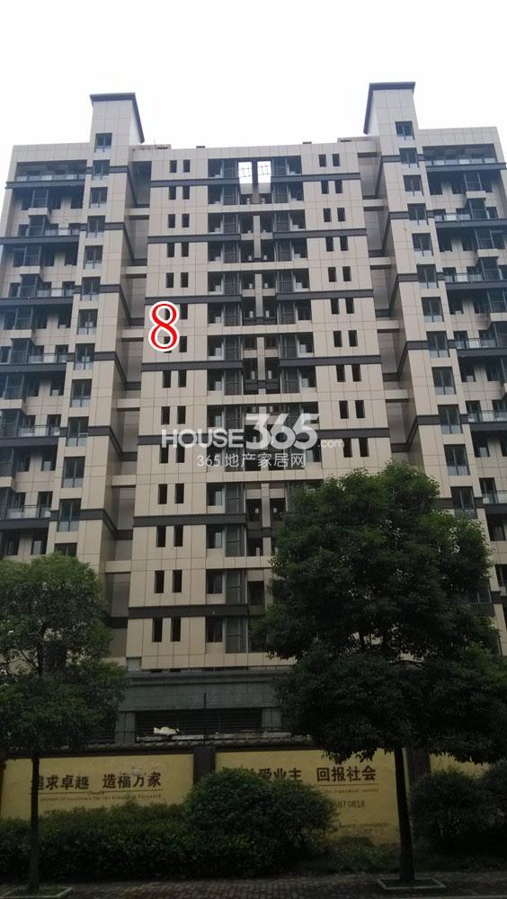 2013.11.13铂金名筑实景图--8号楼特写