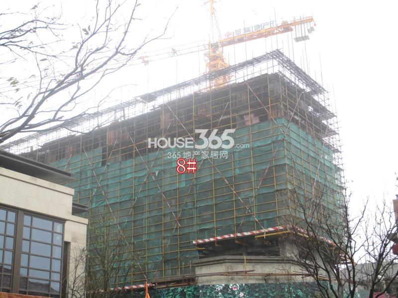 景瑞御蓝湾8号楼工程进度（2014.2）