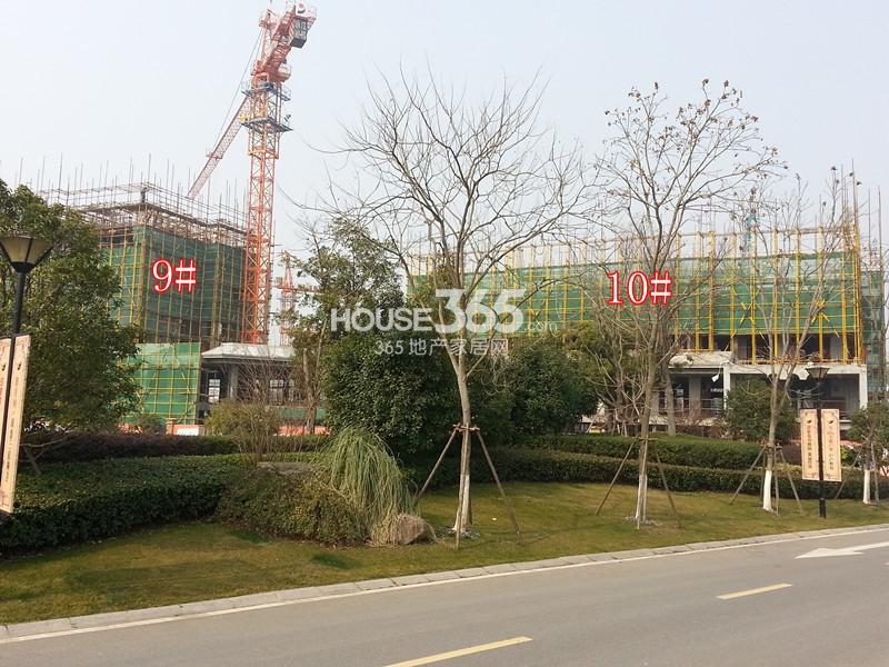东海闲湖城印象加州10、9号楼工程进度（2014.2）