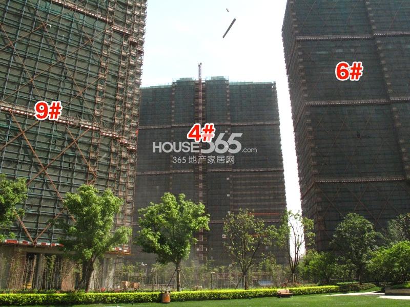 钱塘梧桐蓝山二期9、4、6#工程进度（2014.5.8）