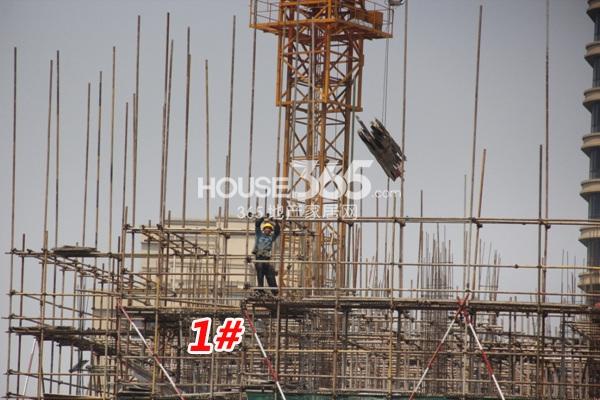 溪悦宸府1号楼在建情况  2014.5.22摄