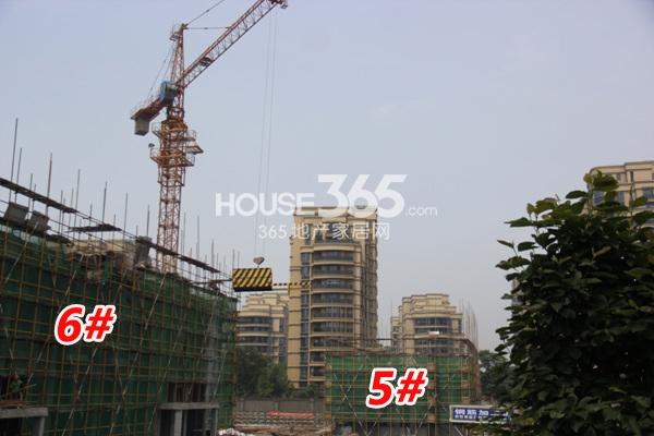 溪悦宸府5、6号楼进度  2014.5.22摄