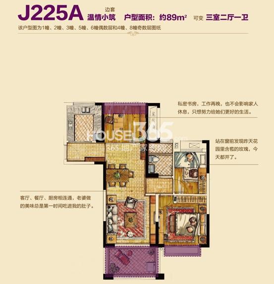 杭州碧桂园J225A户型图89方1-3、5、6幢奇数和4、8幢偶数边套(1-6、8号楼）