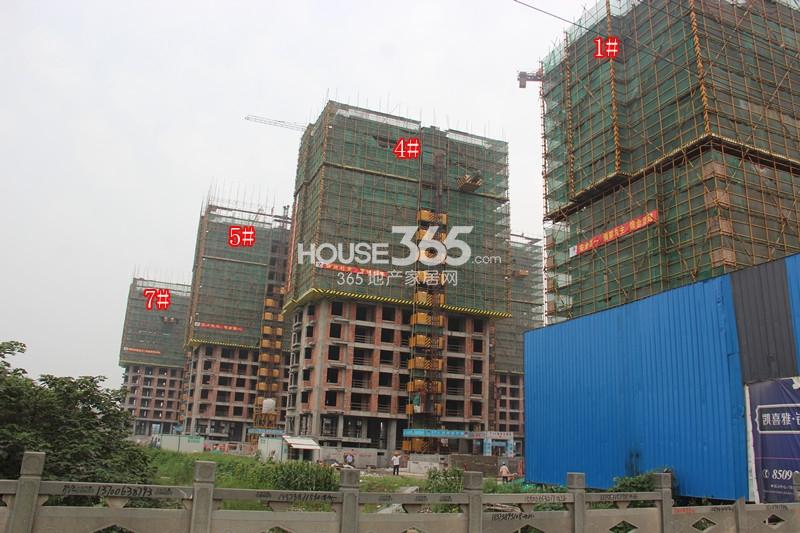 凯喜雅锦河湾1、4、5、7号楼进度 2014.7
