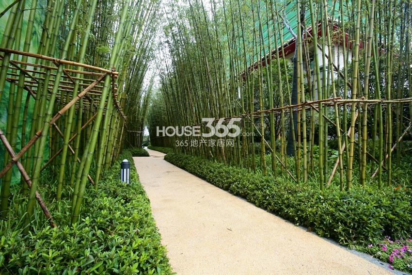 新城西溪逸境样板区实景 8.2