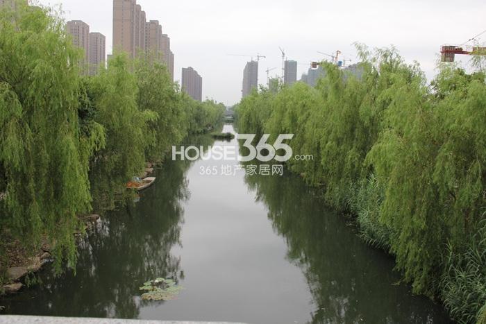 2014年8月底大家运河之星项目景观实景