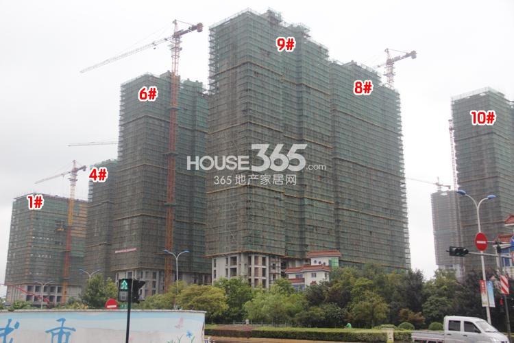2014年8月下旬玲珑府项目实景--1、4、6、8、9、10号楼
