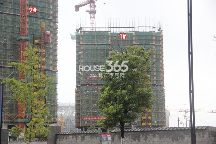 2014年8月下旬绿地旭辉城项目实景--1、2号楼