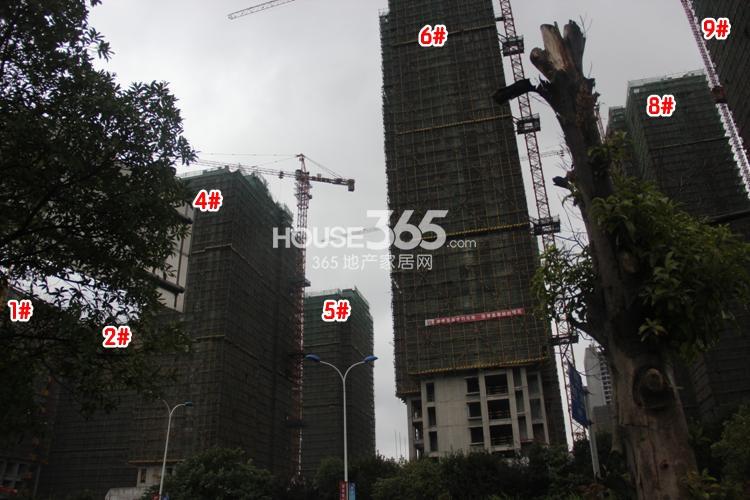 2014年8月下旬玲珑府项目实景--1、2、4、5、6、8、9号楼
