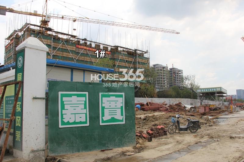 合景瑜翠园工地门口 7.24