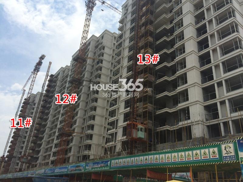 西溪海C组团11、12、13#楼进度 2014.8.27