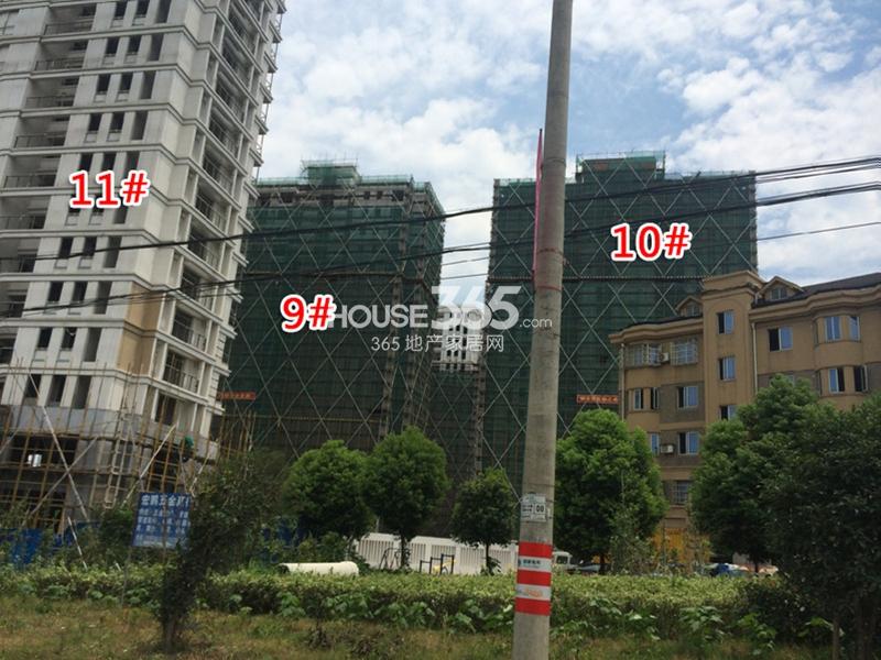 西溪海C组团9、10、11#楼进度 2014.8.27