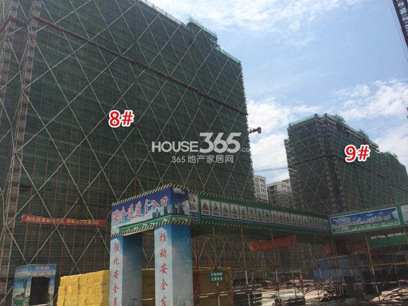 西溪海C组团8、9#楼进度 2014.8.27