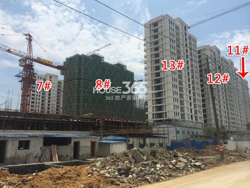 西溪海C组团7、8、11、12、13#楼进度 2014.8.27