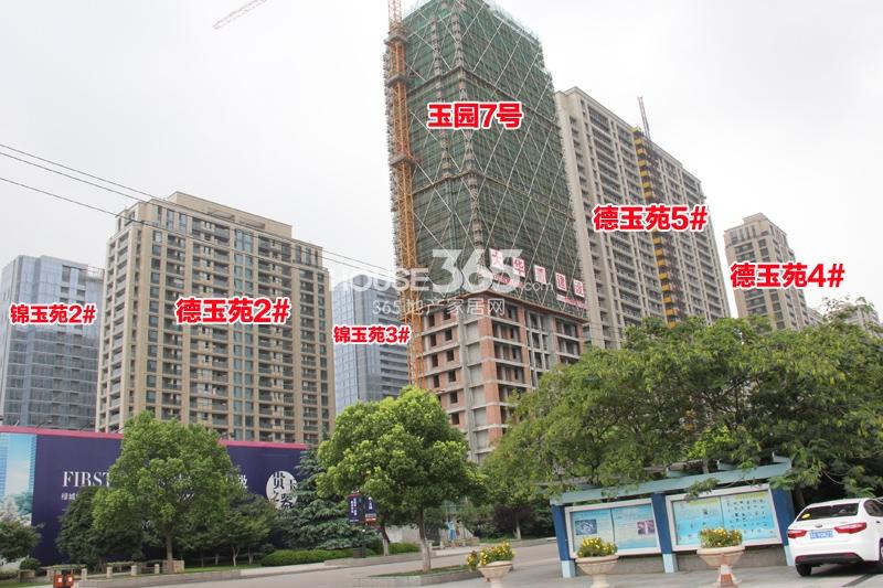 绿城玉园项目整体施工进程（2014.8）