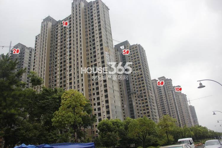 金地天逸1、2、5、6、10号楼施工实景图 2014年8月摄 