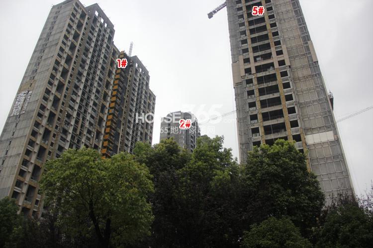 金地天逸1、2、5号楼施工实景图 2014年8月摄 