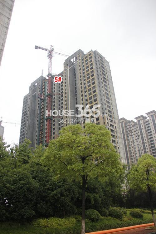 金地天逸5号楼施工实景图 2014年8月摄 