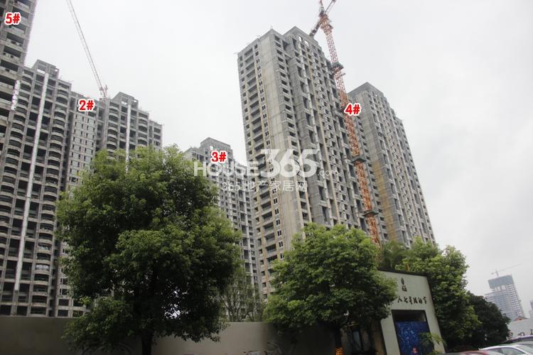 金地天逸2、3、4、5号楼施工实景图 2014年8月摄