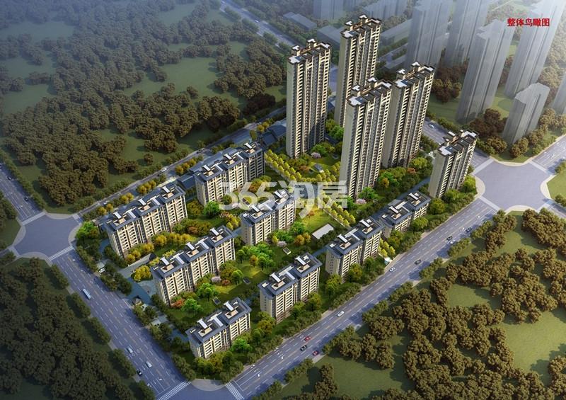 加侨京冠学府壹号最新动态