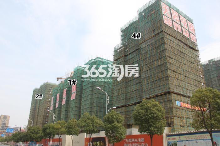 天阳明朗1、2、4号楼施工实景图 2016年3月摄