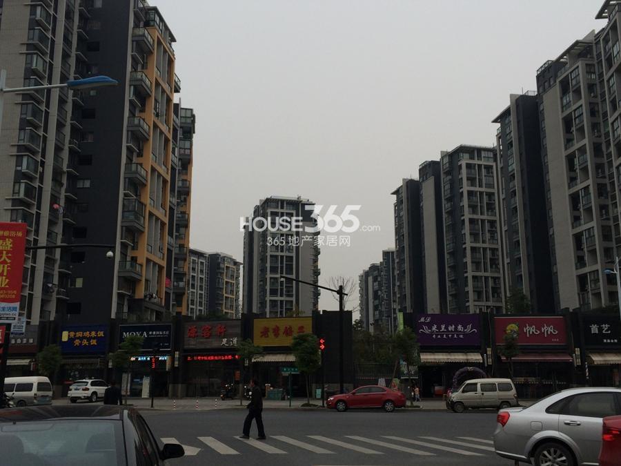 广大融城印象项目周边上东领地小区 2014年11月摄