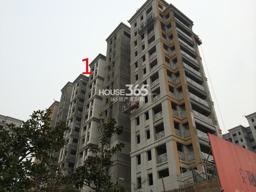 广大融城印象1号楼施工实景图 2014年11月摄