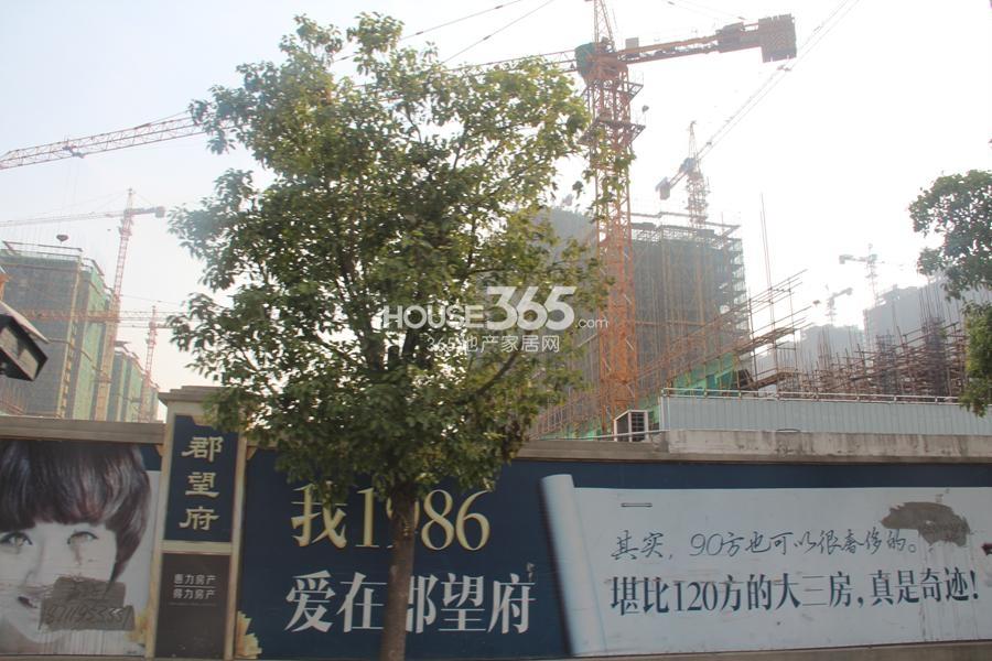 得力郡望府项目现场的吊机 2014年11月摄