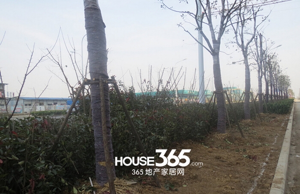 长虹世纪荣廷工程进度（2014-11-24）