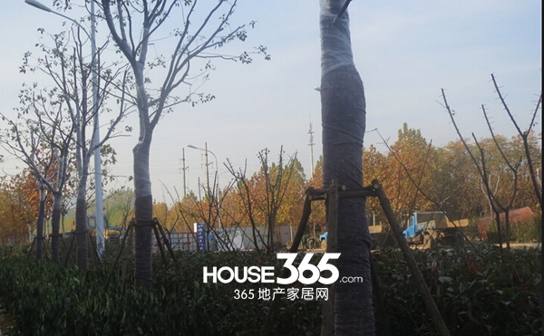 长虹世纪荣廷工程进度（2014-11-24）